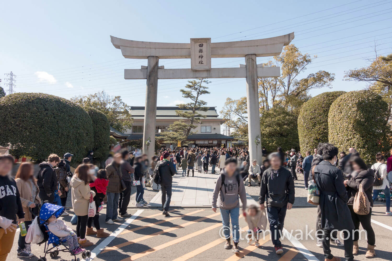 田縣神社の鳥居