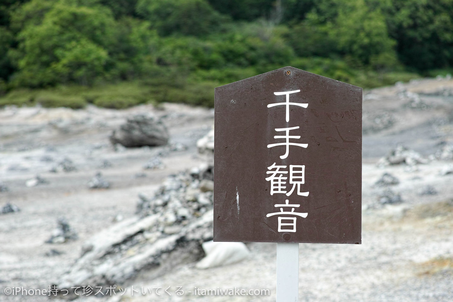 千手観音の看板