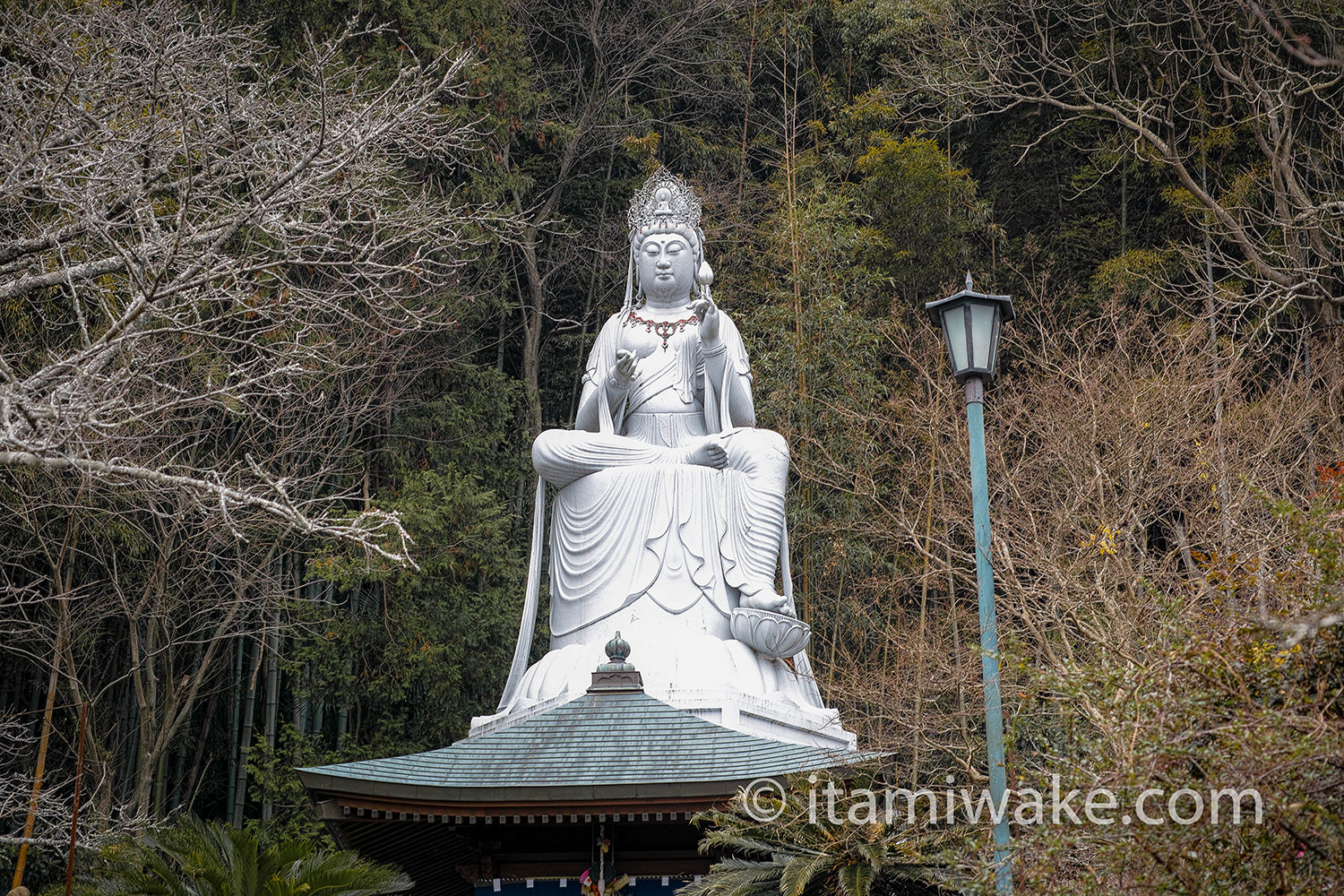 元のいたみわけ みがわり すべてのぬりえ