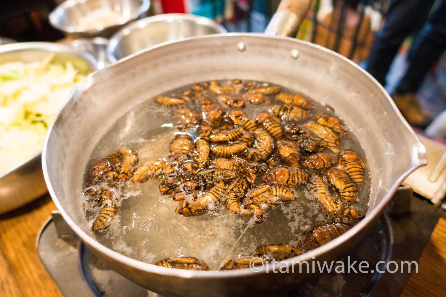 セミは確かにエビの味 高田馬場で昆虫食を楽しむ会で虫中華を食べる いたみわけ Com セミは確かにエビの味 高田馬場で昆虫食を楽しむ会で虫中華を食べる いたみわけ Com