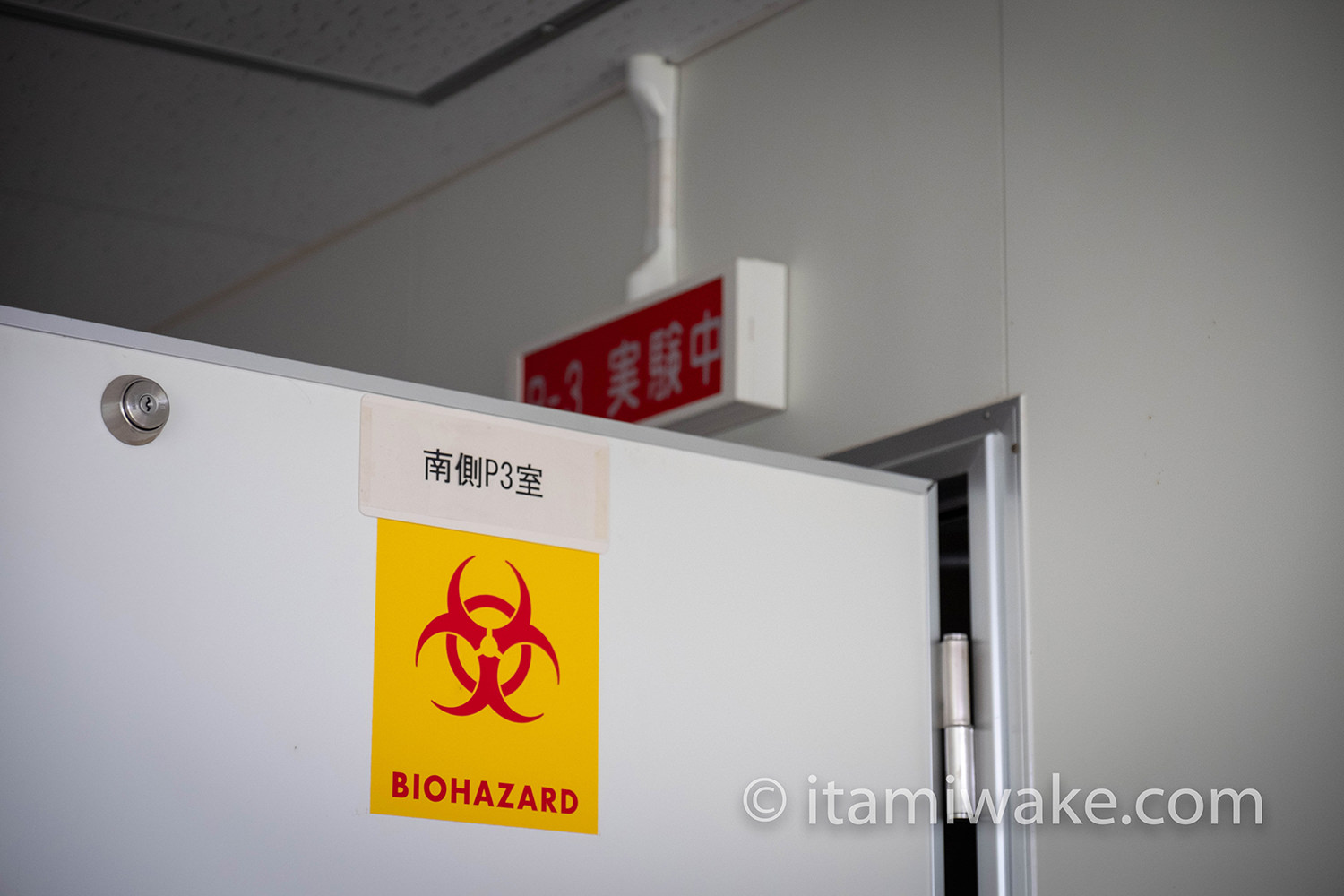 その名も バイオハザード研究所 ウィルス蔓延る危険廃墟を探索 いたみわけ Com