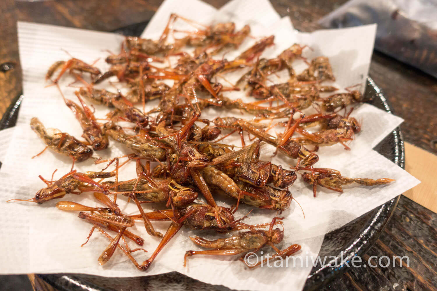 セミは確かにエビの味 高田馬場で昆虫食を楽しむ会で虫中華を食べる いたみわけ Com セミは確かにエビの味 高田馬場で昆虫食を楽しむ会で虫中華を食べる いたみわけ Com