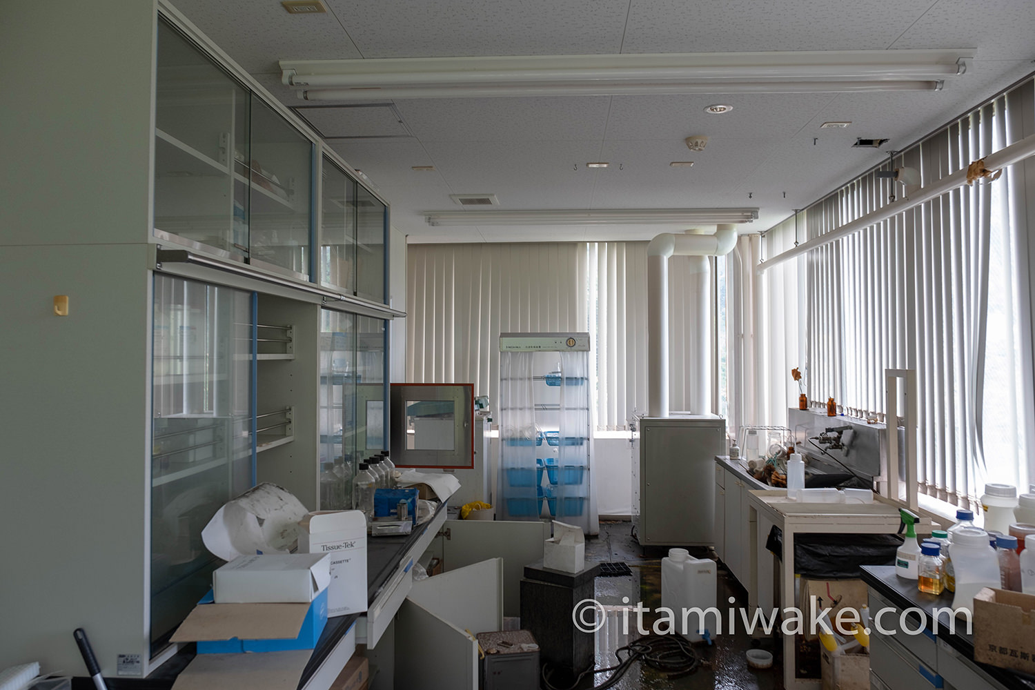 その名も バイオハザード研究所 ウィルス蔓延る危険廃墟を探索 いたみわけ Com