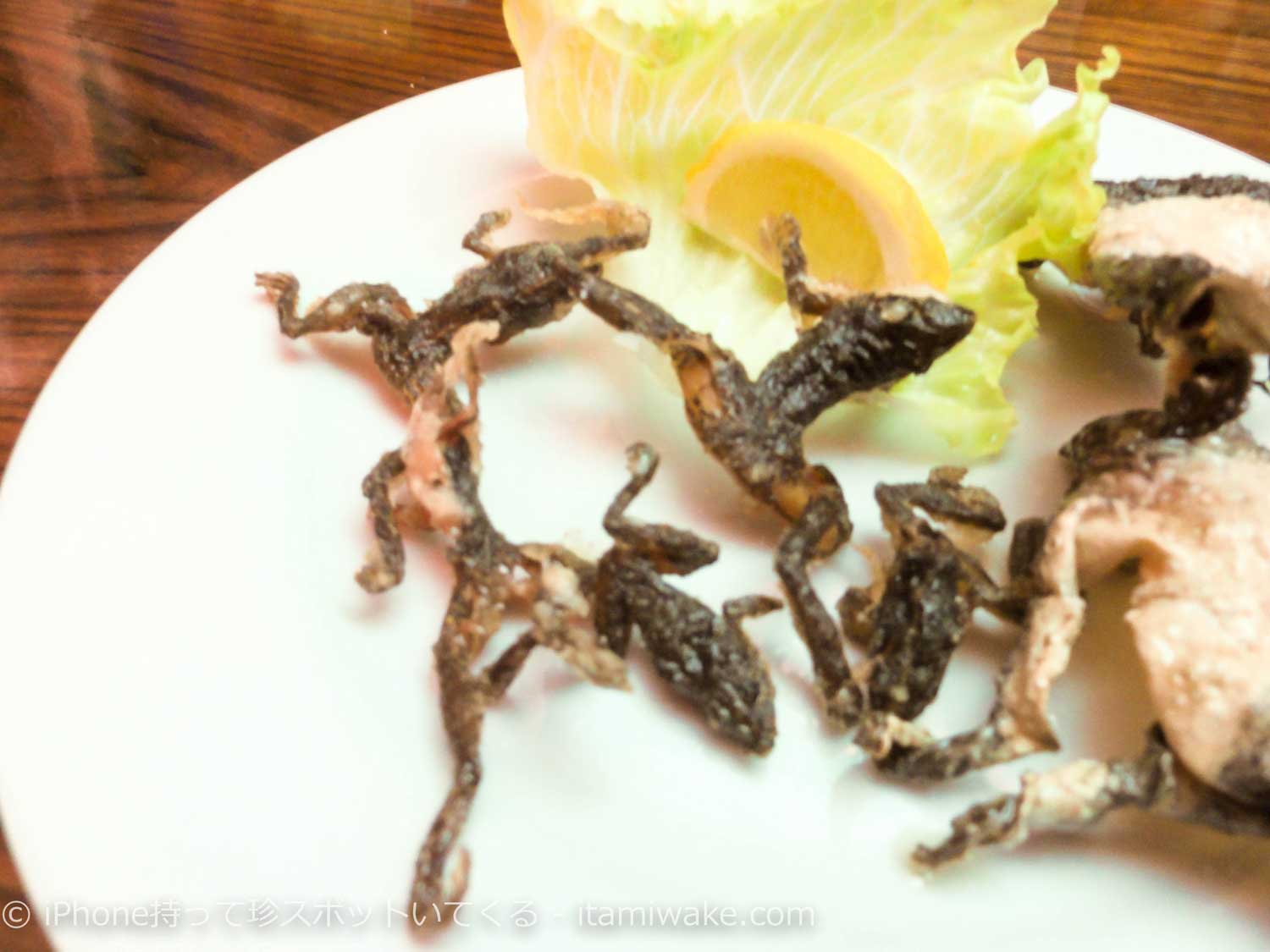 閲覧注意 これからの時代は昆虫食 コオロギ 蚕 タガメ ワーム 昆虫を食べてきました いたみわけ Com 閲覧注意 これからの時代は昆虫食 コオロギ 蚕 タガメ ワーム 昆虫を食べてきました いたみわけ Com